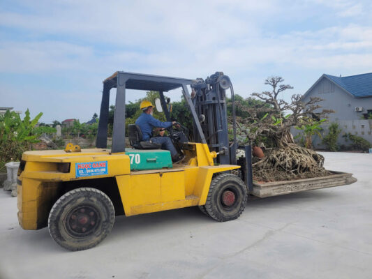 Công ty TNHH Vận Tải Ngọc Oanh